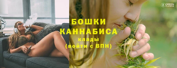 соль ск Верхний Тагил