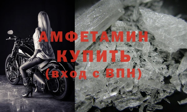 прущие грибы Россошь