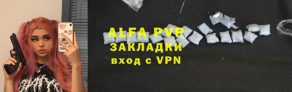 амф Верея