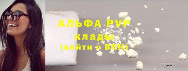 амф Верея
