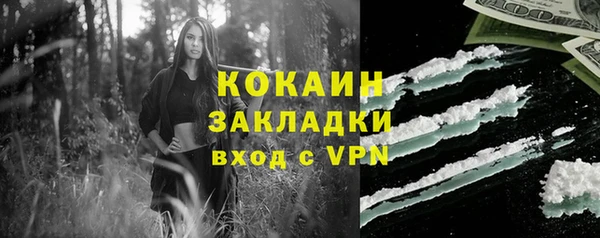 соль ск Верхний Тагил