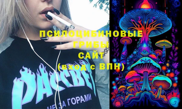 амф Верея