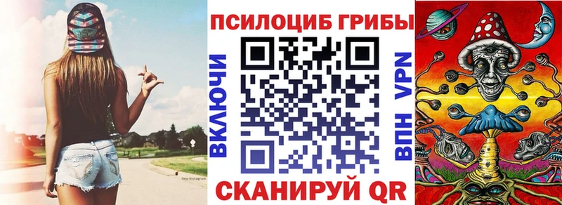 где найти   Карабулак  Галлюциногенные грибы GOLDEN TEACHER 