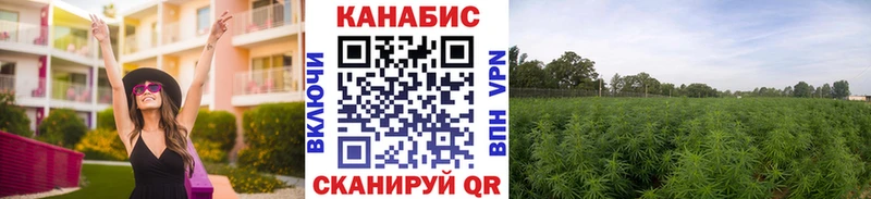 МАРИХУАНА SATIVA & INDICA  где купить наркотик  Карабулак 